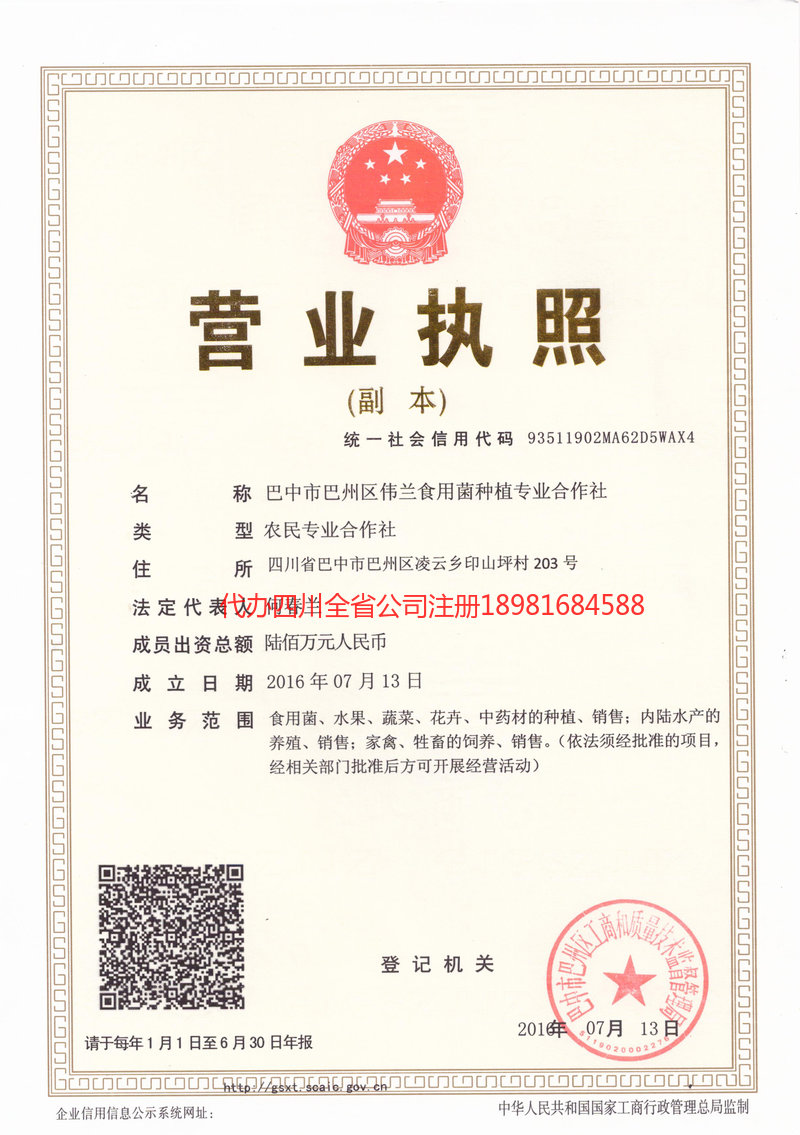 泊头泊头伟兰食用菌种植专业合作社